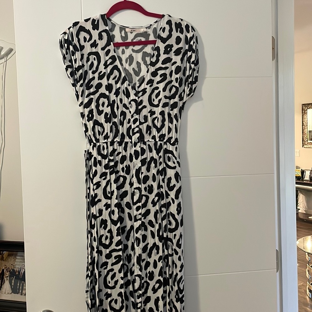 Francesca’s Maxi Dress Animal Print